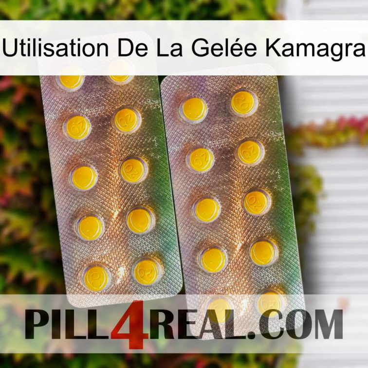 Utilisation De La Gelée Kamagra new10